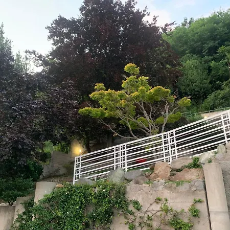 Volta's Dream كومو